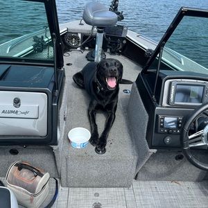 Meet your Posher, Denver